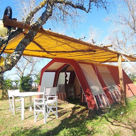 Camping Terreno-Ro-Bi-Li Hotell Cutrofiano Exteriör bild