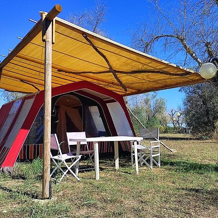 Camping Terreno-Ro-Bi-Li Hotell Cutrofiano Exteriör bild