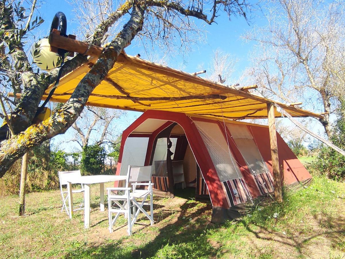 Camping Terreno-Ro-Bi-Li Hotell Cutrofiano Exteriör bild