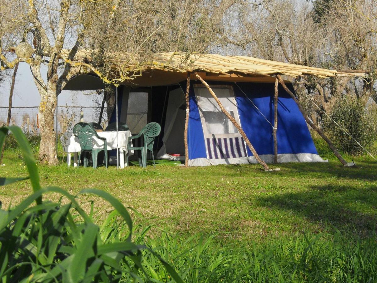 Camping Terreno-Ro-Bi-Li Hotell Cutrofiano Exteriör bild