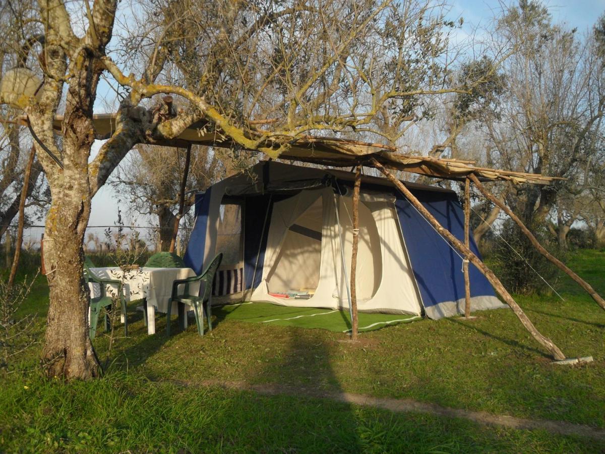 Camping Terreno-Ro-Bi-Li Hotell Cutrofiano Exteriör bild